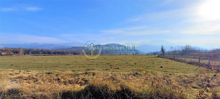 Teren intravilan, 1000 mp cu PUZ - locatie deosebita, Sibiu - Valea Avrigului - 4