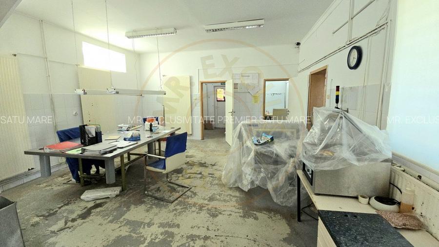 De Vanzare Casa Botiz - 4