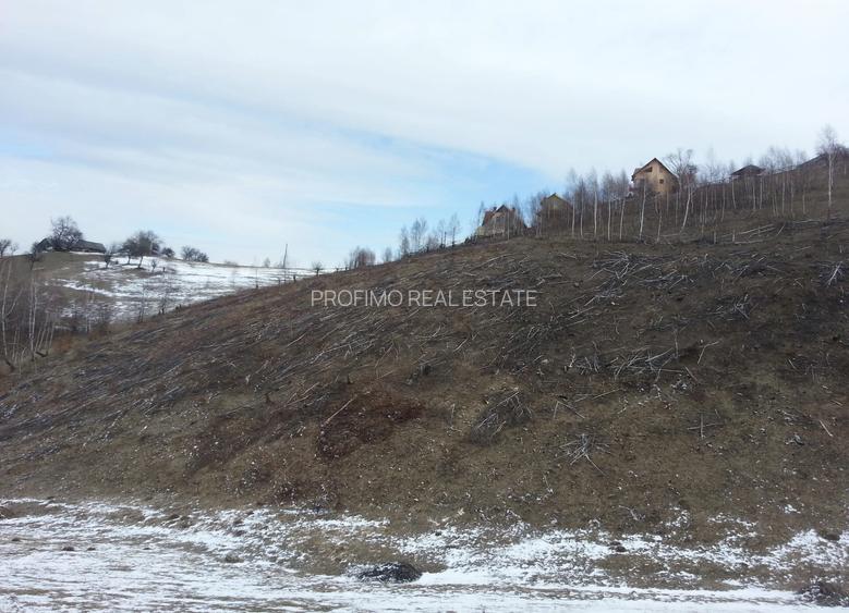 Moeciu, Drumul Carului, teren 3750 mp, 75000 euro - 11