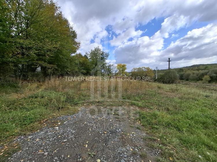 Teren intravilan cu Puz si priveliște deosebită, spre Cetatea Cisnădioara - 12