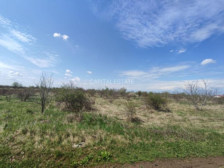 SUPER OFERTA - Loturi teren Peris - 3