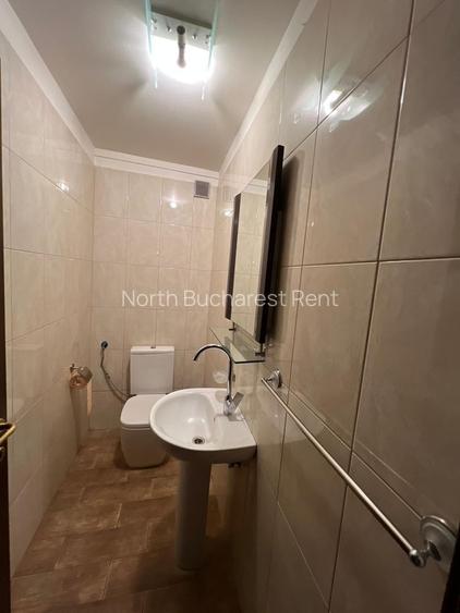 Vila de Inchiriat Iancu Nicolae - 10