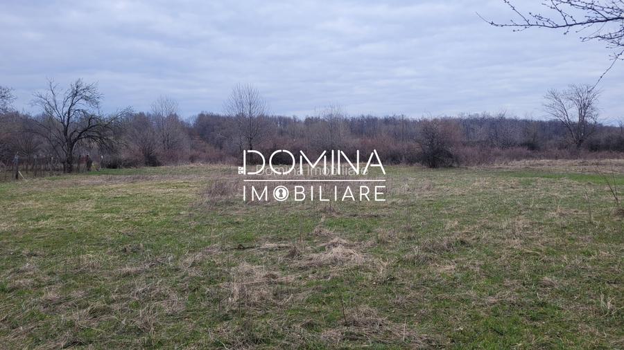 Vanzare teren 4364 mp, in comuna Crasna - sat Crasna - 3