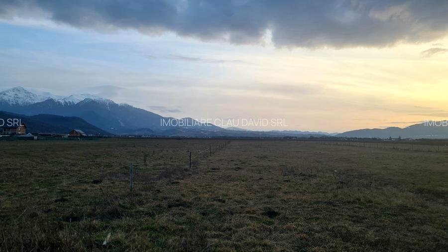 TEREN 1049 mp - INTRAVILAN DE CONSTRUCTII - 6