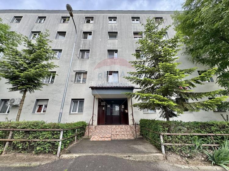 Comision 0% De Inchiriat camera camin | str. Albastrelelor | - 12