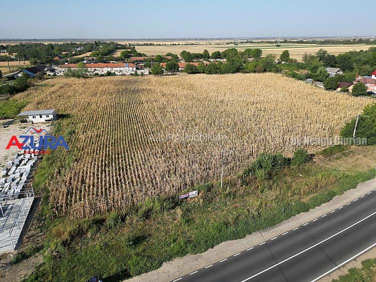 AZURA Imobiliare - Teren la DN7 langa Gaesti, Crangurile - Badulesti - 13