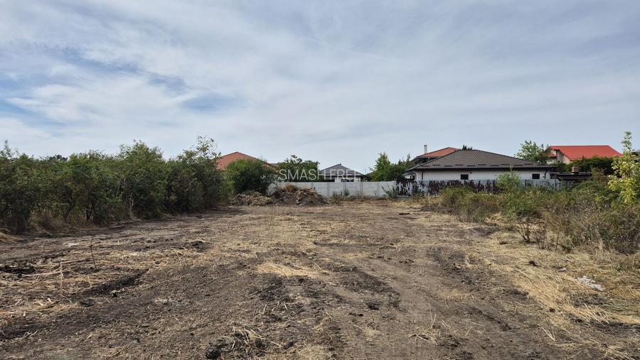 Teren intravilan 1000 mp - Domnesti - 4