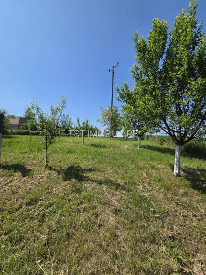 Casa de vanzare in Odoreu - 11