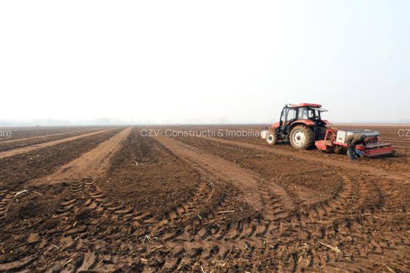 Ferma de Cultura Mare 1100 HA - 2