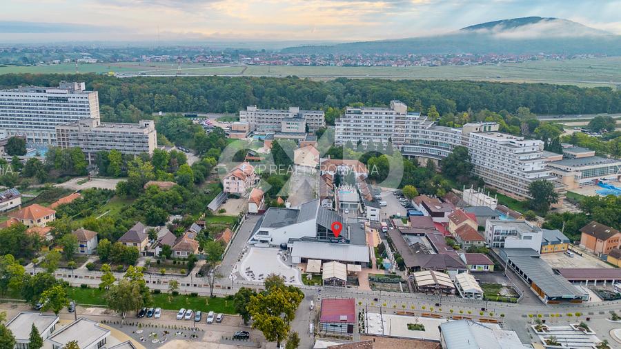 Spațiu versatil pentru business în Băile Felix - 15