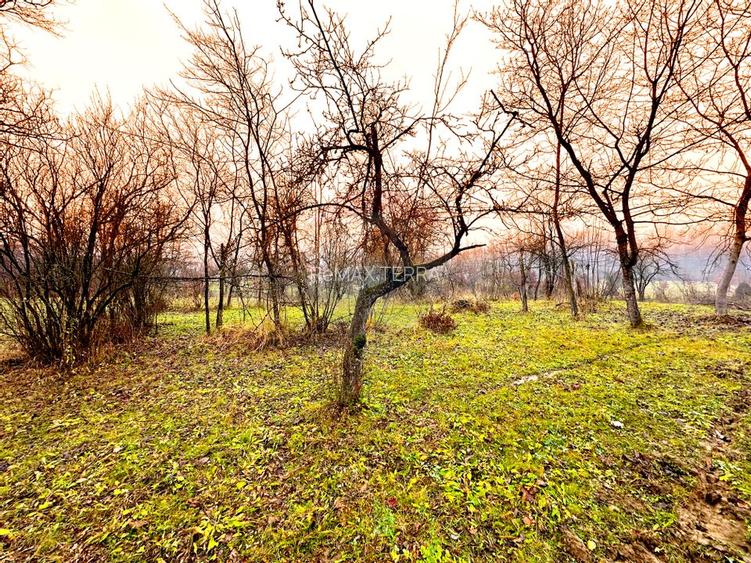 DE VANZARE LOCATIE SUPERBA - 3