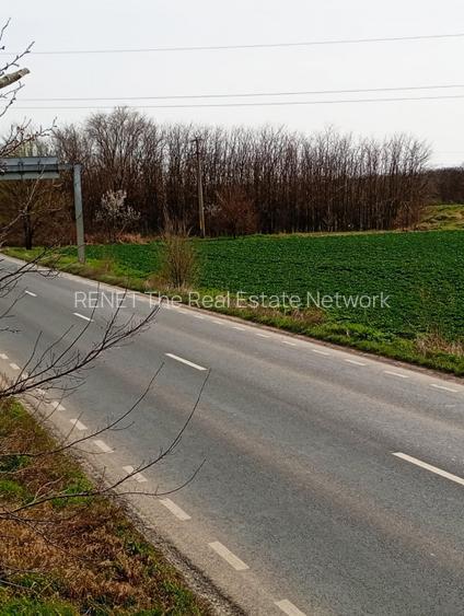 Teren intravilan 5.000 m² cu 40 m deschidere la DN2A – lângă Kaufland Slobozia - 10