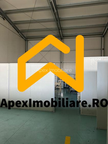 Hala Industrială Vest Ploiești 550 mp + Birouri | Parcare 20 auto | Acces TIR | - 15