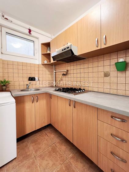 inchiriere apartament cu 2 camere -vedere catre Cismigiu - 9