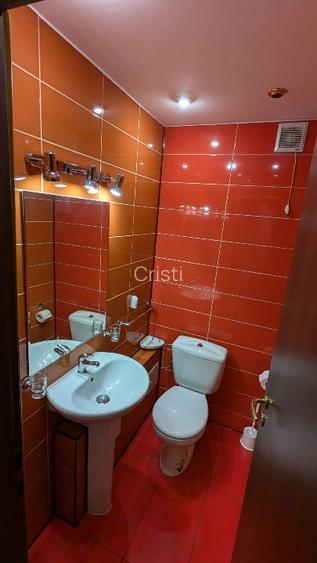 Proprietar, 3 camere 2 bai - 7