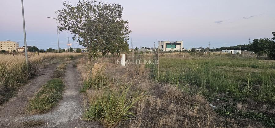 Veterani . 500 mp / Alexandru Averescu - 2