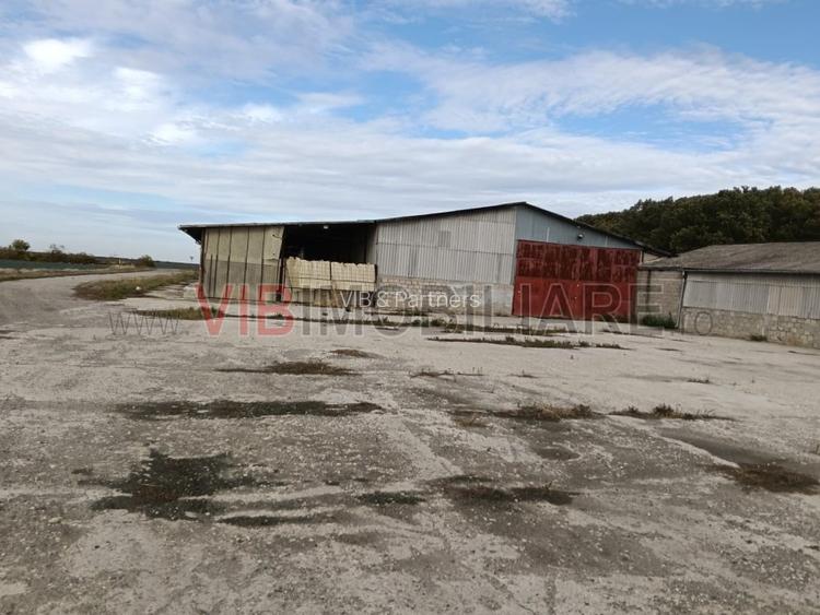 Ferma Agricolă 1.350 Hectare – Grad de Comasare 96–97%, Chișineu Criș, Județul A - 12