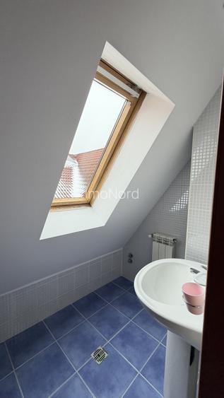 Vilă  de închiriat – Iancu Nicolae, Băneasa - 19