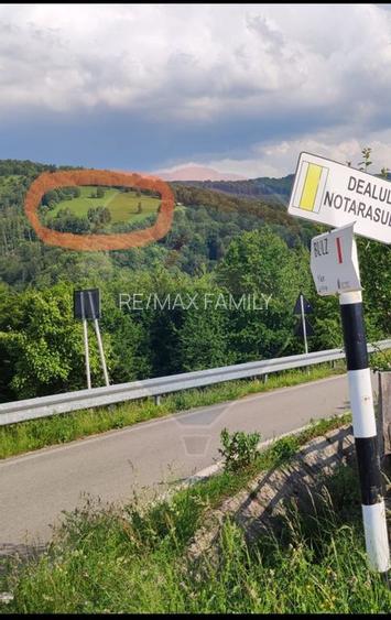 Teren 130000 mp extravilan, faneata si padure, Munteni - Bulz, Negreni - 7