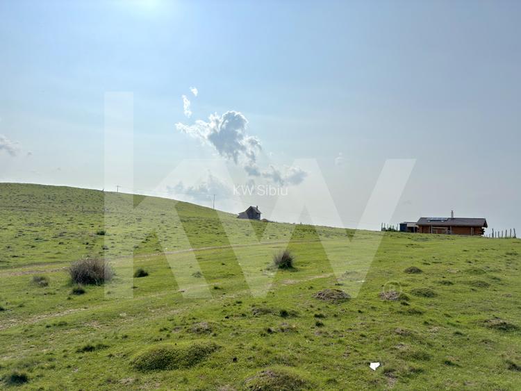 Teren 1003 mp în Păltiniș | Priveliște panoramică către munți - 5