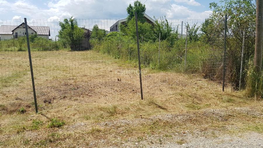 Teren intravilan de vânzare, Mogoșoaia Str. Garoafelor, 1.365 mp, Deschidere 39m - 5