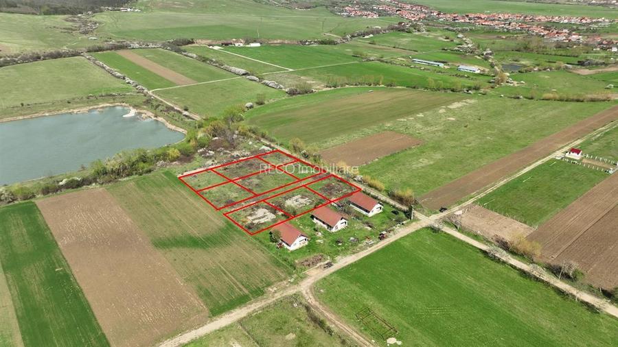 RECO , teren intravilan, Ineu,Bihor - 3