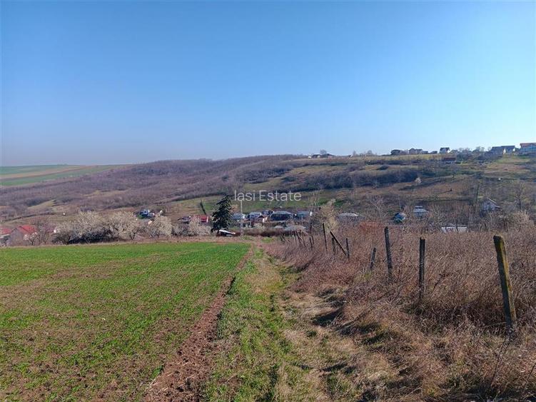 OCAZIE! Vorovesti Teren 83000mp intrav. si extrav. cu utilitati - 4