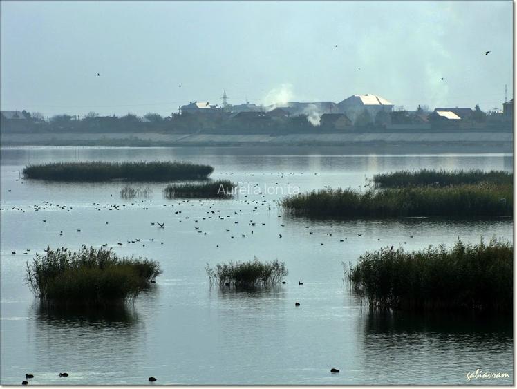 Proprietar - SUPER OFERTA - Teren CORNETU 3.544 mp - doar 3 euro/mp - 5