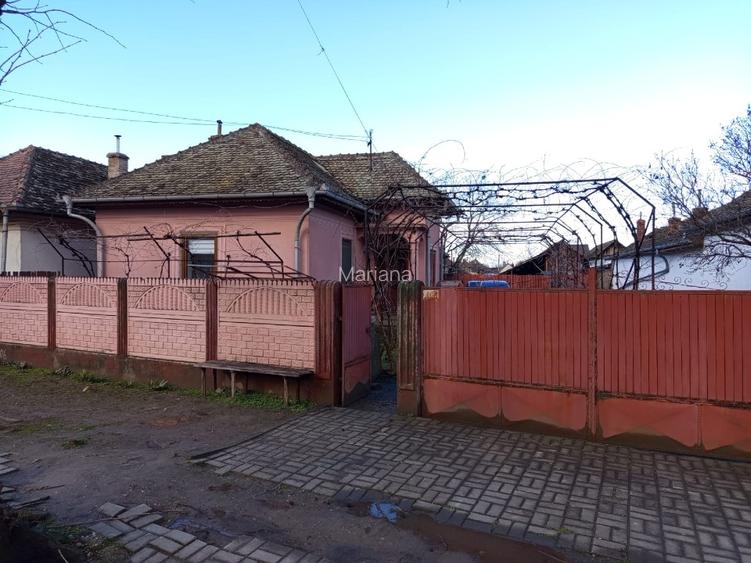 Casa la tara cu teren si gradina,beci si alte dependinte - 9