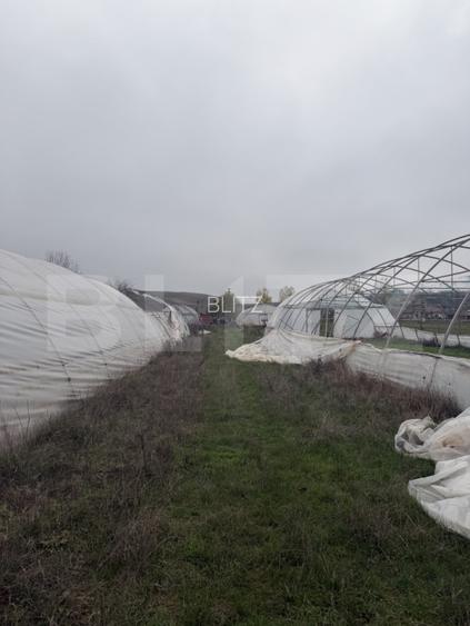 Teren intravilan agricol, sere, anexa agricola, 11500 mp teren, Sopot - 3