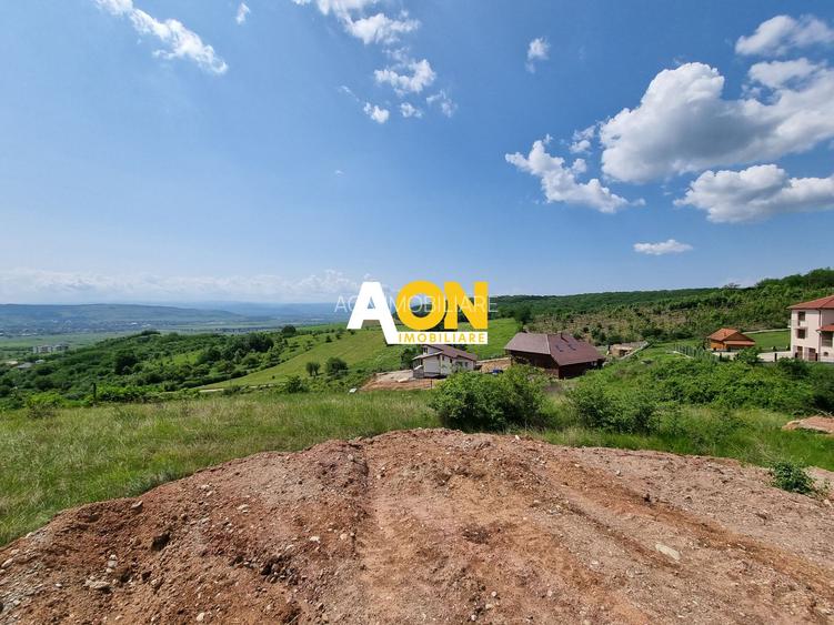 De vânzare teren intravilan 1000mp zona Seigau - 3