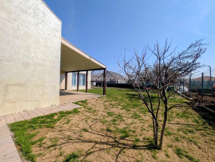 Casa unde copii cresc liberi: Povestea de pe strada Marin Sorescu - 14