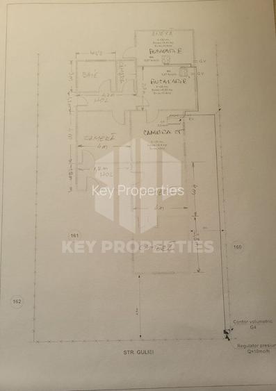 Samurcasi, str. Guliei, casa parter cu teren - 2431 mp - 7