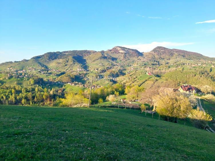 Teren 3,618mp Pestera / Strada Principala - 3