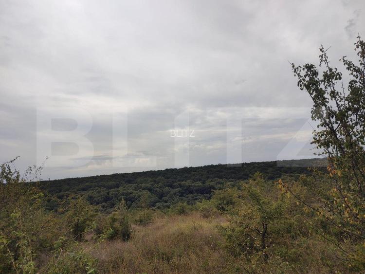 Teren 6291 mp, extravilan, zona Leamna de jos  - 2