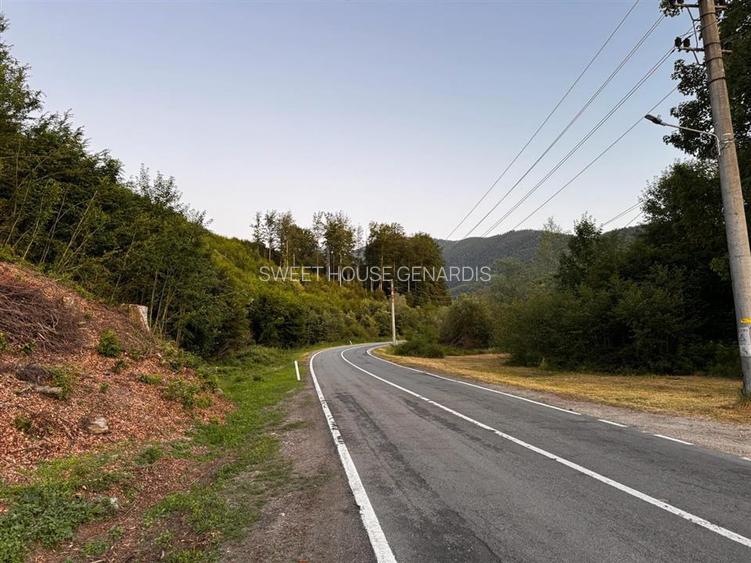 Oportunitate de investitie Cabana Cartisoara Zona Turistica - 46