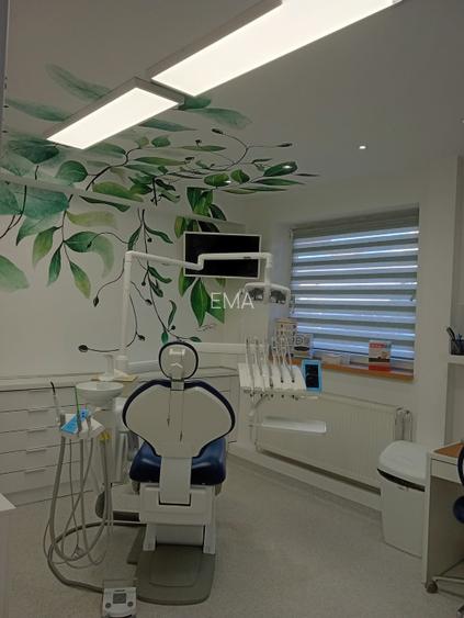 Proprietar vand doua vile in zona Calea Plevnei - 7