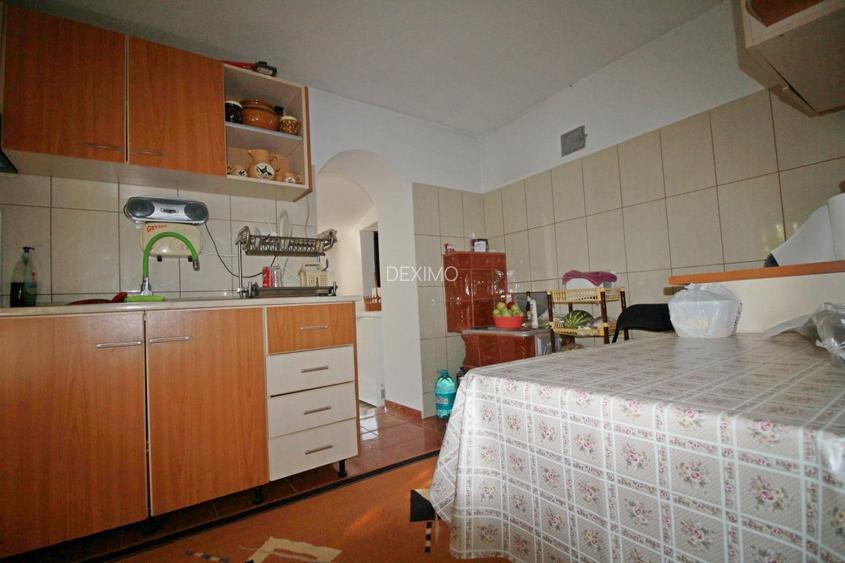 Casa La Tara  - 2700MP - Tichilesti Constanta - Vita De Vie - Pomi Fructiferi - 15