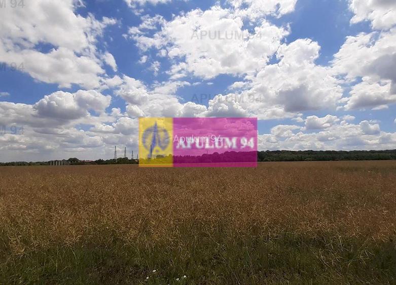 Teren 715mp în Snagov lângă Equestria - 30