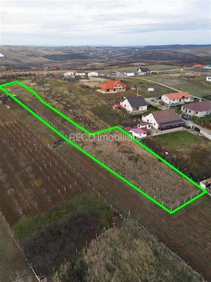 RECO . Teren intravilan Saldabagiu de munte . - 3