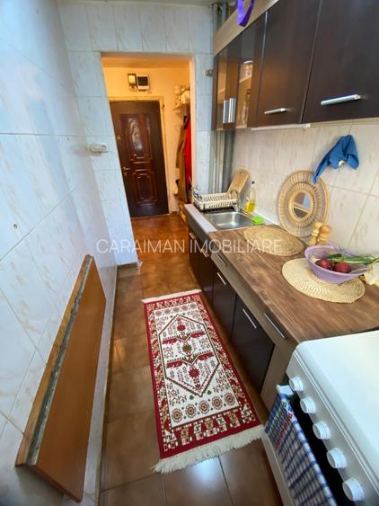 Lacul Tei x Teiul Doamnei, langa Facultatea de Constructii si Parcul Tei - 6