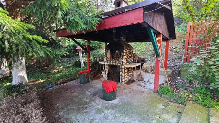 Tur LIVE!Casa cu arhitectura traditionala, curte spatioasa,foisor,Rucar. Bran - 20