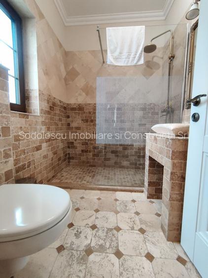 CASA  DEOSEBITA LA  SACALAZ IN SUPRAFATA DE 153 MP - 15