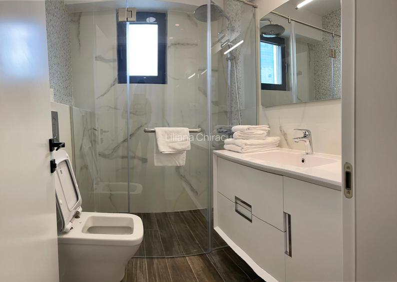 Penthouse 5 camere PIATA VICTORIEI - 9