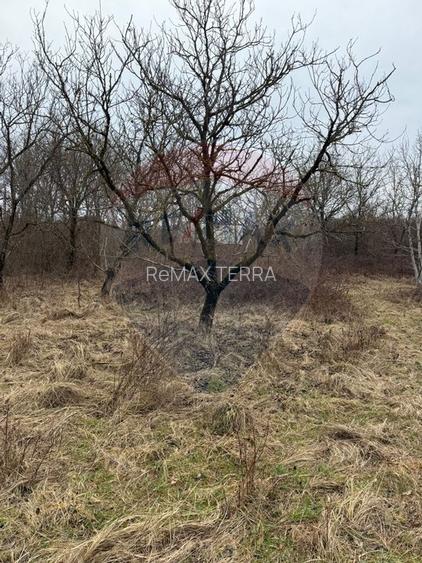 DE VANZARE Teren Strada Victoriei Baia Mare - 10