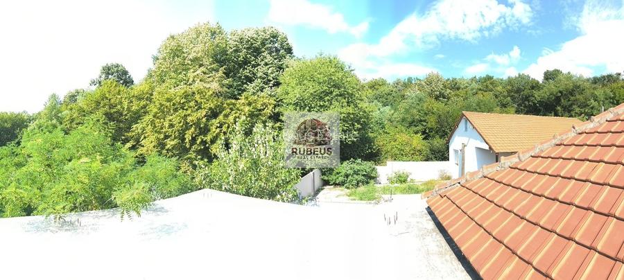 Refugiul la marginea pădurii in Orșova, pe malul Dunării - 14