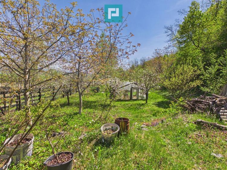 Casă Câmpani, 8000 mp teren, la poalele Apusenilor - 23