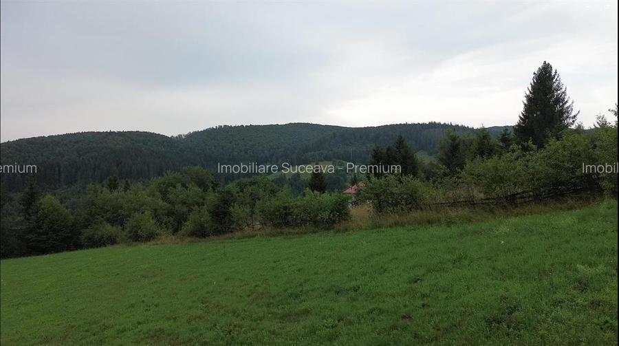 Teren 5023 mp  In Bucovina Zona Manastirea Voronet De Vanzare 0727817187 - 21