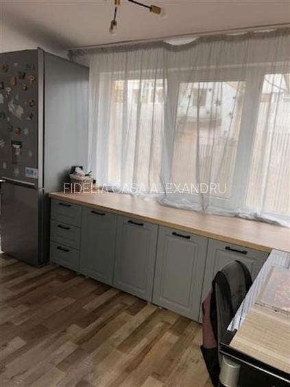 Apartament 2 camere de vanzare zona Alexandru - 6