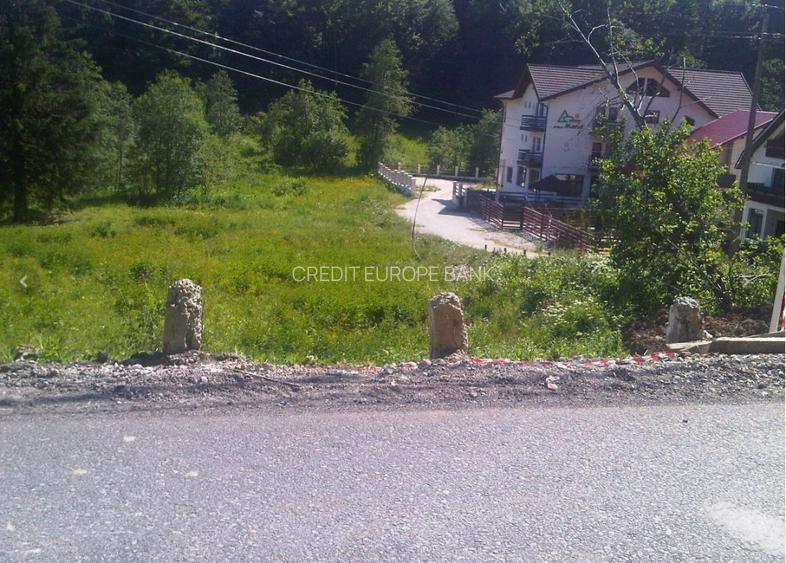 Teren zona Cheile Rasnoavei, Judet Brasov - 2